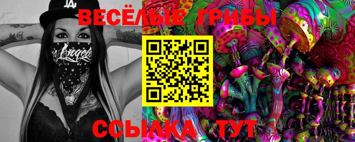 Галлюциногенные грибы Psilocybe  Вход с VPN  Сургут  Псилоцибиновые грибы Cubensis 